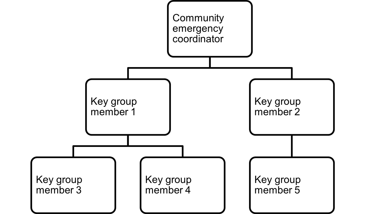 A diagram showing an example telephone tree. The phone tree works as a pyramid. The coordinator at the top of the diagram with key group members listed underneath.